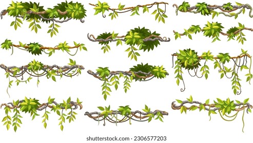 Liana branches, ivy and tropical leaves. Set of creeper jungle. Isolated cartoon vector hedera helix on white background.