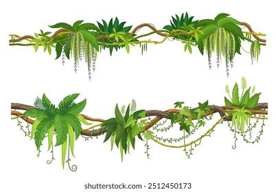 Ramas de Liana o vides de hiedra de selva tropical con hojas de monstera, Vector de dibujos animados. Planta rastrera de la selva tropical o liana de la selva y árbol de algas con zarcillos trepadores para el marco de la frontera