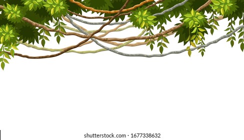 Liana branches and tropical leaves. Cartoon frame plants of jungle with space for text. Isolated vector illustration on white background.