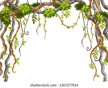 Liana branches and tropical leaves on white background. Cartoon frame plants of jungle with space for text. Isolated vector illustration.