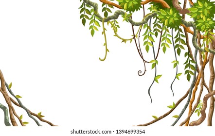 Liana branches and tropical leaves on white background. Cartoon frame plants of jungle with space for text. Isolated vector illustration.