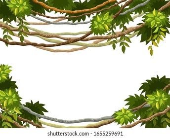 Liana branches and tropical leaves on white background. Cartoon frame plants of jungle with space for text. Isolated vector illustration.