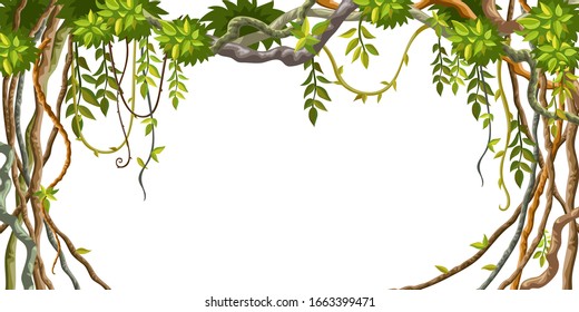 Liana branches and tropical leaves on white background. Cartoon frame plants of jungle with space for text. Isolated vector illustration.