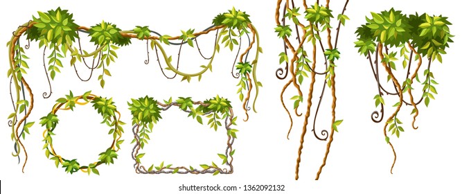 Liana branches and tropical leaves. Set game elements plants of jungle and cartoon frames with space for text. Isolated vector illustration on white background.