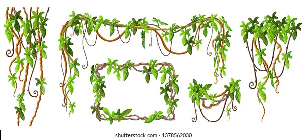 Liana branches and tropical leaves. Set game elements plants of jungle and cartoon frames with space for text. Isolated vector illustration on white background.