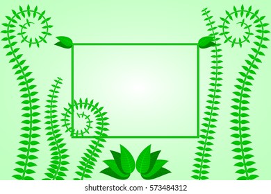 liana frame