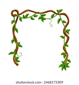 Liana jungle frame. Rainforest liana wild greenery. Cartoon plant, creeper branch. Grass and wood leaf sign. Botany texture. Vector forest game element