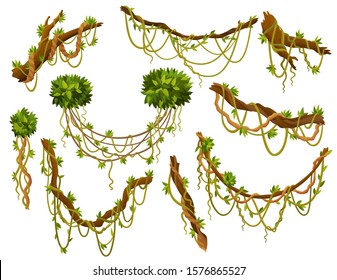 Liana or jungle plant or vine wild greenery winding branches vector stem with leaves isolated decorative elements tropical vines rainforest flora and exotic botany wild curling species and twigs