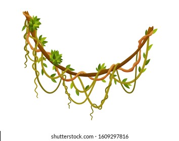 Liana or jungle plant or vine wild greenery winding branches vector stem with leaves isolated decorative elements tropical vines rainforest flora and exotic botany wild curling species and twigs