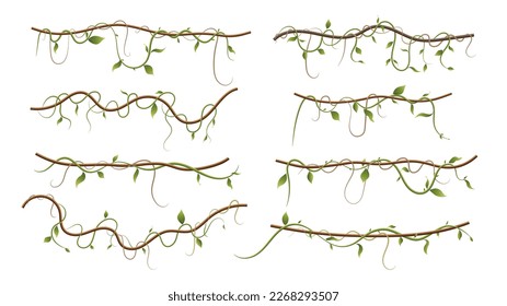 Liana or jungle plant or vine wild greenery winding branches vector stem with leaves decorative elements tropical vines rainforest flora