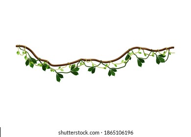 Liana as Long-stemmed Woody Vine Climbing and Tangled Around Tree Vector Illustration