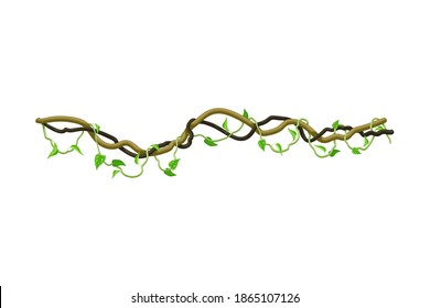 Liana as Long-stemmed Woody Vine Climbing and Tangled Around Tree Vector Illustration