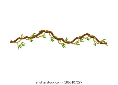 Liana as Long-stemmed Woody Vine Climbing and Tangled Around Tree Vector Illustration