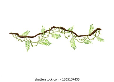 Liana as Long-stemmed Woody Vine Climbing and Tangled Around Tree Vector Illustration