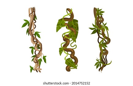 731 Tangled ivy Images, Stock Photos & Vectors | Shutterstock