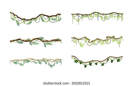 Liana as Long-stemmed Woody Vine Climbing and Tangled Around Tree Vector Set