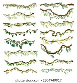 Liana as Long-stemmed Woody Vine Climbing and Tangled Around Tree Big Vector Set