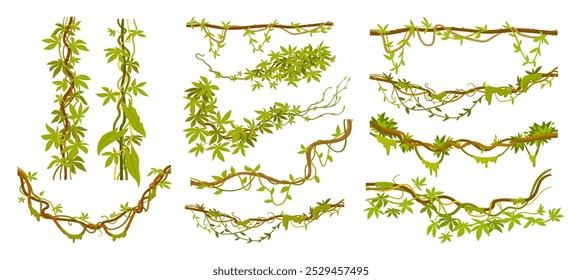 Plantas de Liana. Ramas de enredaderas de escalada tropical con musgo, conjunto de Ilustración vectorial plana de flora de selva tropical. Viñas de liana de la selva de dibujos animados en blanco