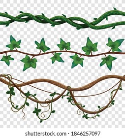 Liana seamless border set with isolated images of vine leaves on wooden stalks on transparent background vector illustration