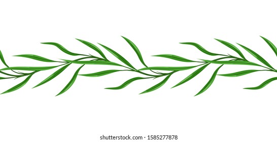 Liana seamless pattern. Jungle vines plant with green leaves. Woody natural tropical rainforest.