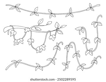 Liana set graphic black white isolated sketch illustration vector 