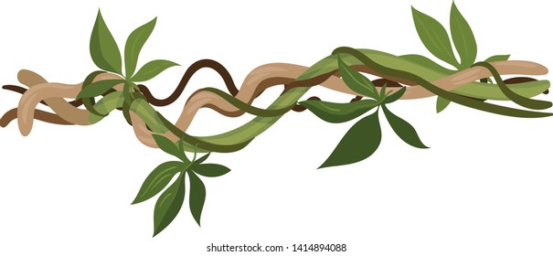 Liana with small leaves lies horizontally. Vector illustration on white background.