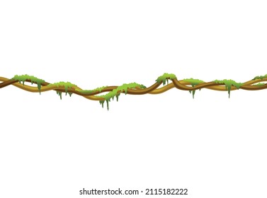 Liana stem border. Rainforest green moss hanging on branch. Cartoon jungle creeper. Tropical nature plant