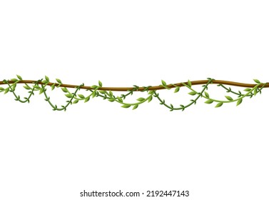 Liana stem border. Rainforest green vine or twisted plant hanging on branch. Cartoon jungle creeper. Tropical nature plant