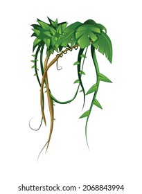 Composición de dibujos animados de hojas tropicales de Liana con imagen aislada de la planta colgante sobre ilustración vectorial en blanco