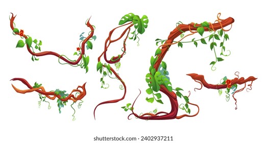 Liana twisted and tangled branch with green leaf and flowers. Game assets of jungle long climbing plant vine with foliage for border decor. Cartoon vector illustration set of rain forest tree stem.