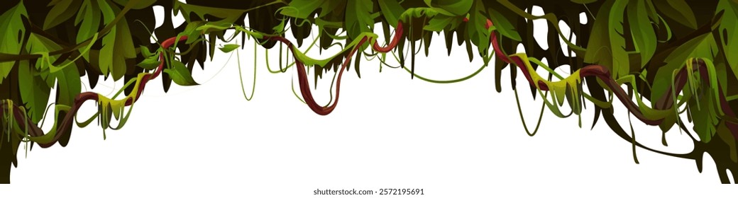 Liana vine arch isolated on white. Vector cartoon illustration of hanging jungle plants, tree branches frame, green foliage border for tropical adventure game landscape, exotic garden, floral banner