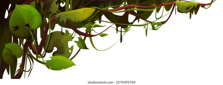 Liana vine border isolated on white. Vector cartoon illustration of jungle plants hanging on tree branches, green foliage frame for tropical adventure game landscape, exotic garden, floral banner