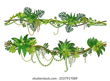 Ramas de vid de Liana de selva tropical y plantas trepadoras de enredadera de hiedra, árboles de dibujos animados de Vector. Liana de la selva tropical y la selva amazónica colgando hiedra con zarcillos y hojas rastreros