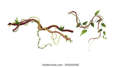 Liana or vine winding branches cartoon vector illustration. Jungle tropical climbing plants.