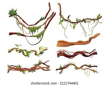 Ramas serpenteantes de liana o vid ilustraciones vectoriales de dibujos animados. Plantas de escalada tropical de la jungla.