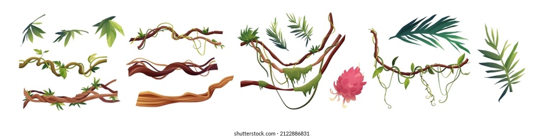 Ramas serpenteantes de liana o vid ilustraciones vectoriales de dibujos animados. Plantas de escalada tropical de selva y flores exóticas.