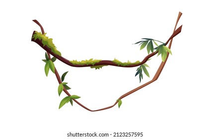 Liana Or Vine Winding Branches Cartoon Vector Illustration. Jungle Tropical Climbing Plants.