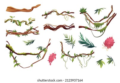 Ramas serpenteantes de liana o vid ilustraciones vectoriales de dibujos animados. Plantas de escalada tropical de selva y flores exóticas.