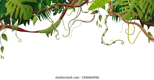 Ramas serpenteantes de liana o vid con fondo de hojas tropicales. Ilustración vectorial de dibujos animados. Plantas de escalada tropical de la jungla.