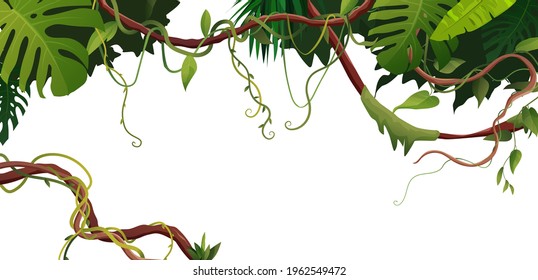 Liana or vine winding branches with tropic leaves background. Cartoon vector illustration. Jungle tropical climbing plants.