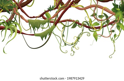 Liana or vine winding branches with tropic leaves background. Cartoon vector illustration. Jungle tropical climbing plants.