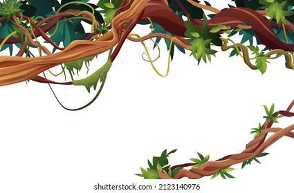 Liana or vine winding branches with tropic leaves background. Cartoon vector illustration. Jungle tropical climbing plants.