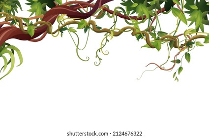 Liana or vine winding branches with tropic leaves background. Cartoon vector illustration. Jungle tropical climbing plants.