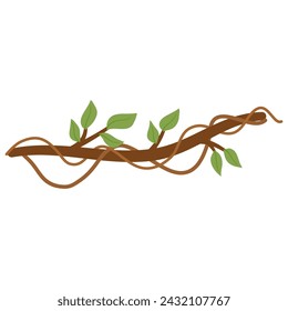 Lianas branch with vines plant