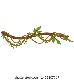 Lianas branch with vines plant