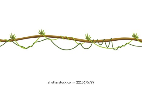 Lianas stem border. Rainforest green vine or twisted plant hanging on branch. Cartoon jungle creeper, leaves or moss on tree. Vector isolated game scenery element. Tropical nature plant
