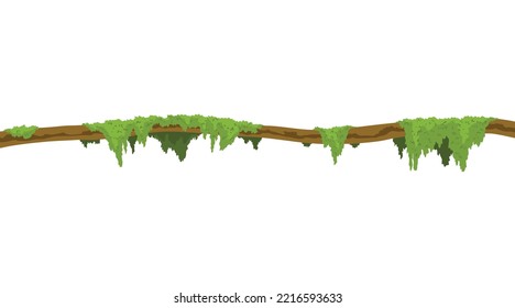 Borde de tallo de Lianas. Vena verde de selva tropical o planta torcida colgando de la rama. Cañón de la jungla de dibujos animados, hojas o musgo en el árbol. Elemento de paisaje de juego aislado vectorial. Planta de naturaleza tropical