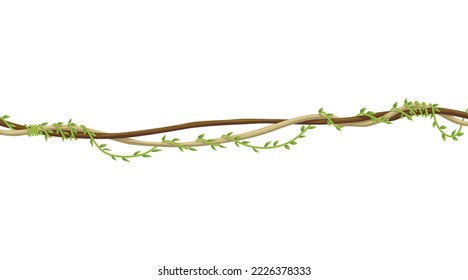 Lianas stem border. Rainforest green vine or twisted plant hanging on branch. Cartoon jungle creeper, leaves or moss on tree. Vector isolated game scenery element. Tropical nature plant
