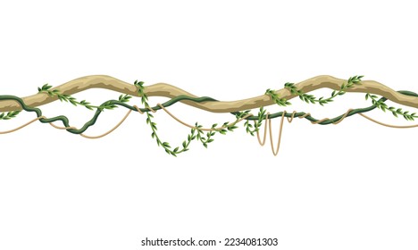 Lianas stem border. Rainforest green vine or twisted plant hanging on branch. Cartoon jungle creeper, leaves or moss on tree. Vector isolated game scenery element. Tropical nature plant