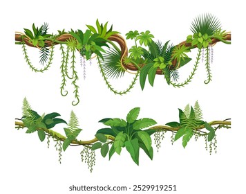 Lianas of tropical jungle forest, or ivy vine branches with monstera leaves, vector border frames. Cartoon tropical rainforest creeping plants or jungle liana and bindweed tree with climbing tendrils